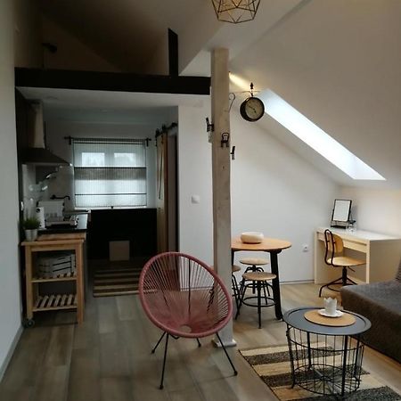 شقة Studio Apartman Hana Drežnik Grad المظهر الخارجي الصورة