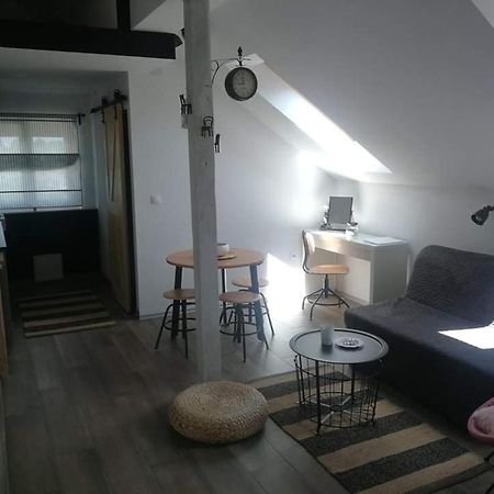 شقة Studio Apartman Hana Drežnik Grad المظهر الخارجي الصورة