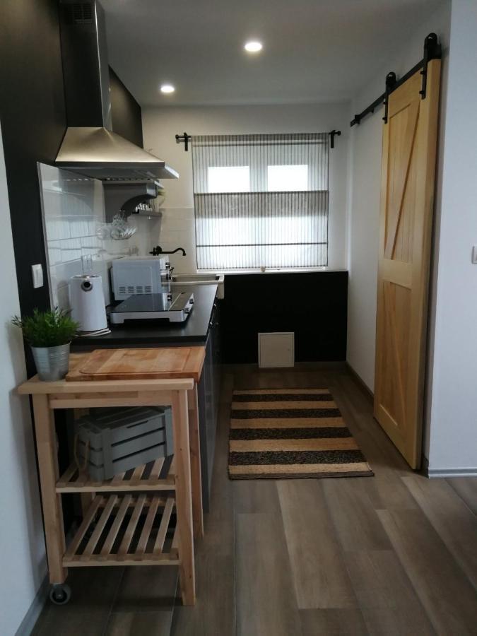 شقة Studio Apartman Hana Drežnik Grad المظهر الخارجي الصورة