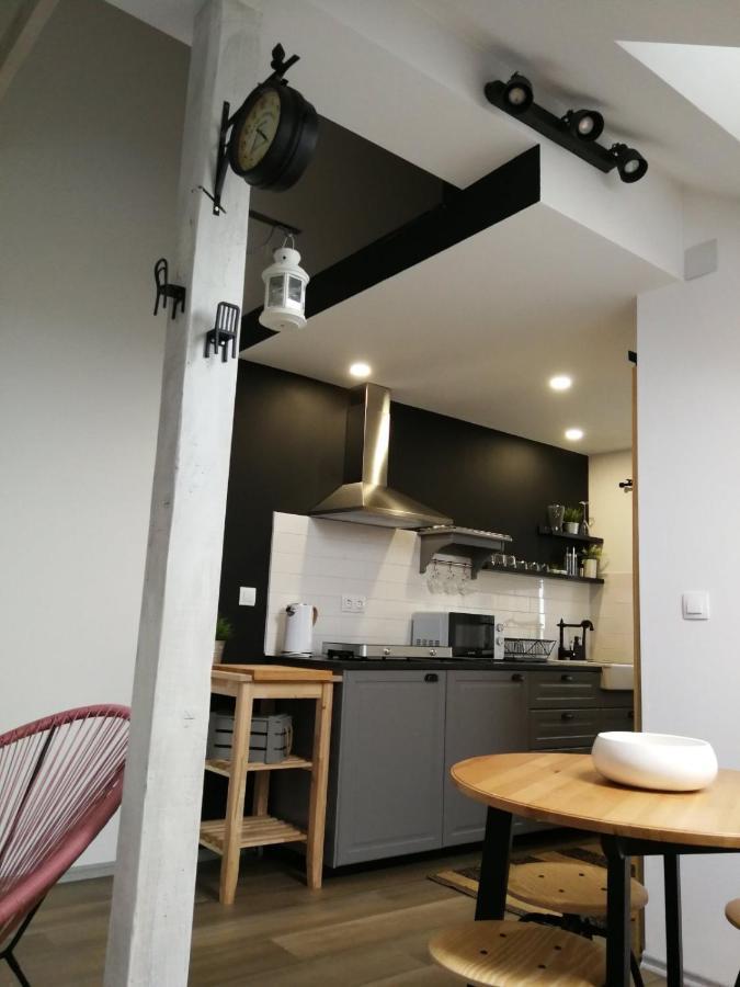شقة Studio Apartman Hana Drežnik Grad المظهر الخارجي الصورة