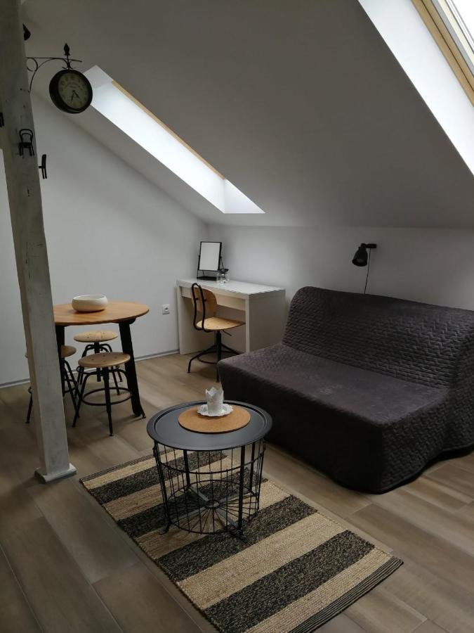 شقة Studio Apartman Hana Drežnik Grad المظهر الخارجي الصورة