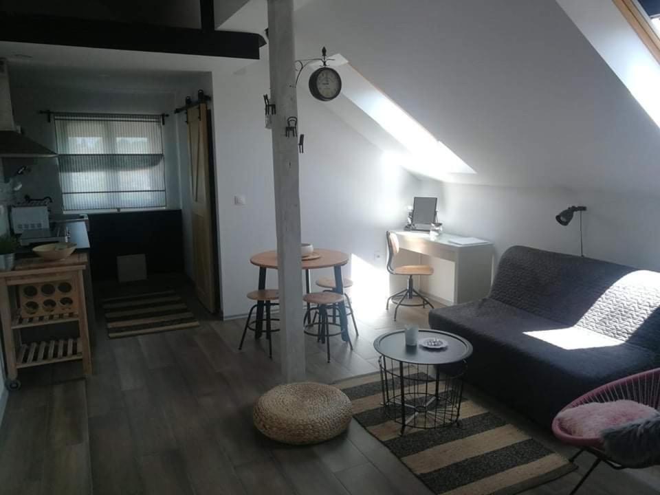 شقة Studio Apartman Hana Drežnik Grad المظهر الخارجي الصورة