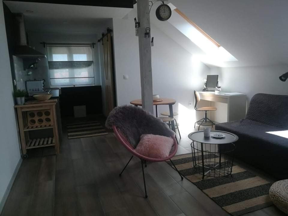 شقة Studio Apartman Hana Drežnik Grad المظهر الخارجي الصورة